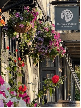 Tudor peacock wine bar chilham - view of shop front